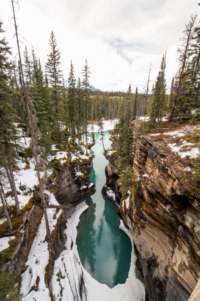 10 Must See Stops on the Icefields Parkway | Desire Trail